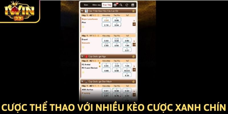 Cá cược thể thao với nhiều kèo cược xanh chín nhất